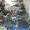 AAA  Latrine secche cercasi