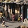 CALCUTTA    Abitazioni