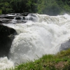 Murchison Falls