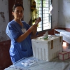 Novella prepara i vaccini