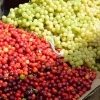 Colori splendenti