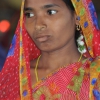 regalità in sari