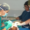 Chirurgo Giuditta ed aiutochirurgo Federica al lavoro