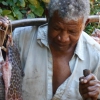 il cieco venditore di pesce