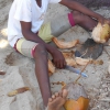 Cocco ... bello