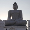 Budda di Amaravathi