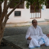 Matteo in meditazione sotto l'albero
