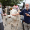 Incontro ravvicinato di un primo tipo