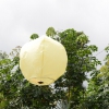 Lanterne librate in cielo